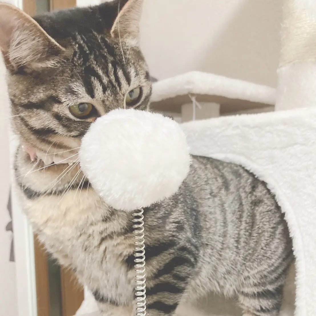 うるのブロマイド 1