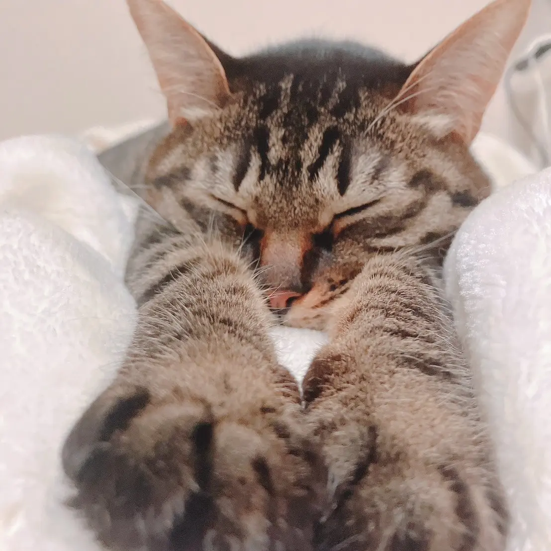 うるのブロマイド 11