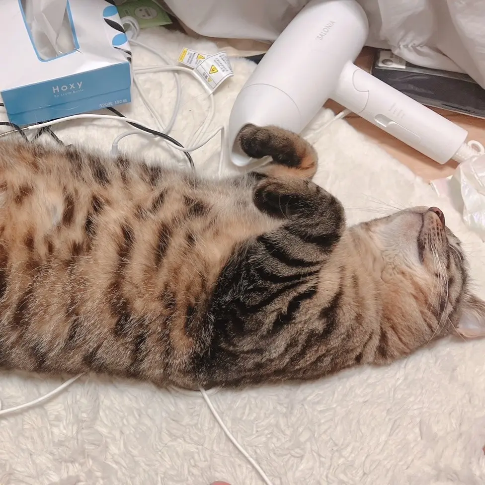 うるのブロマイド 12
