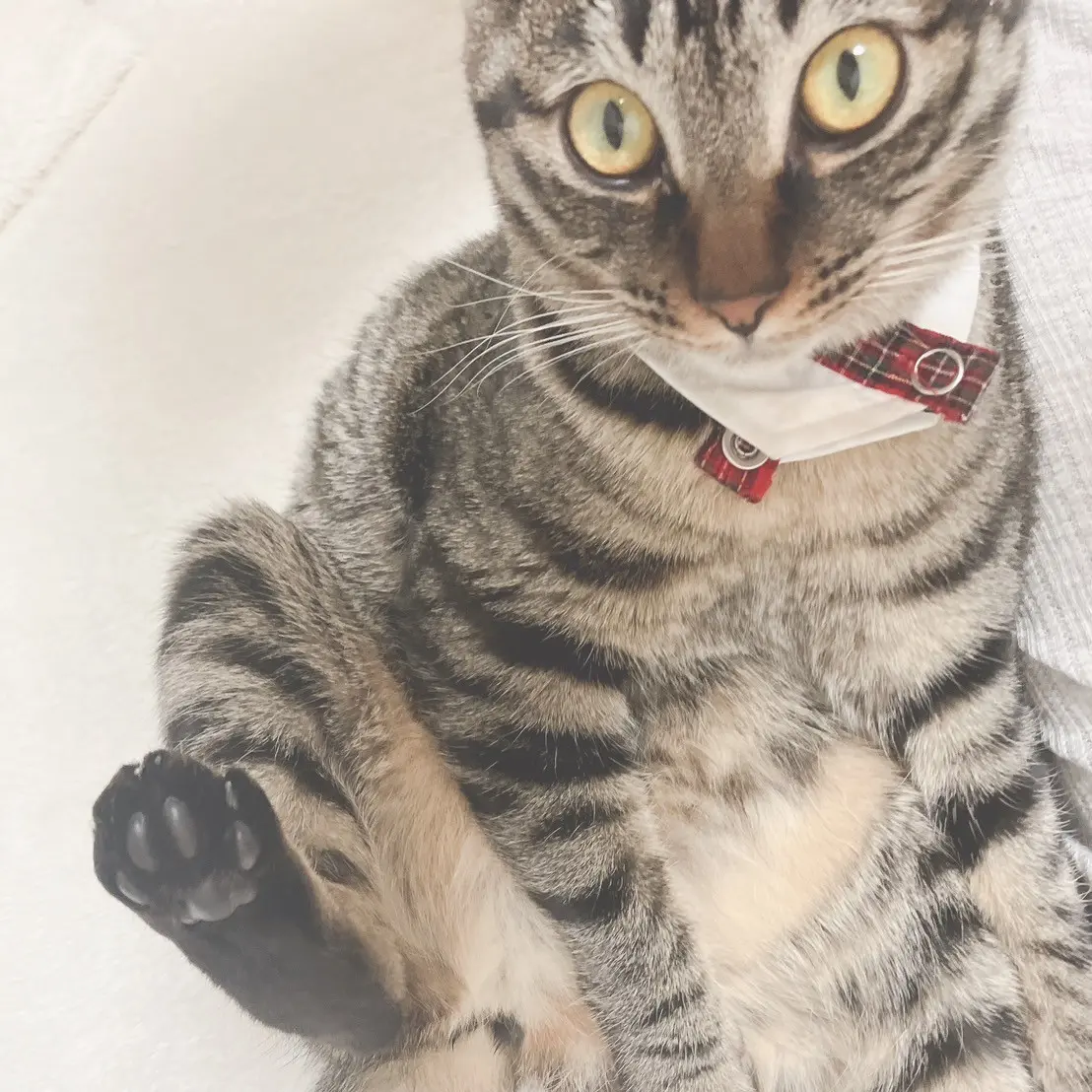 うるのブロマイド 13