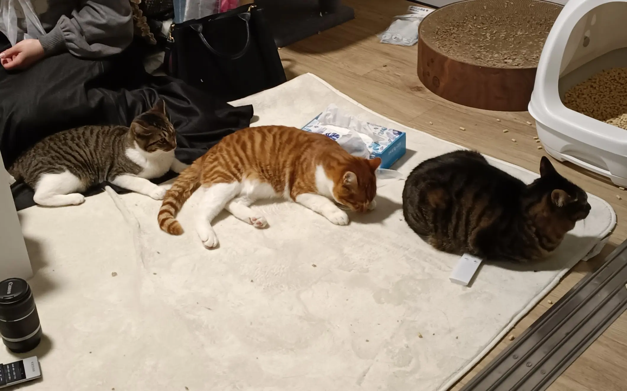 うるのブロマイド 14