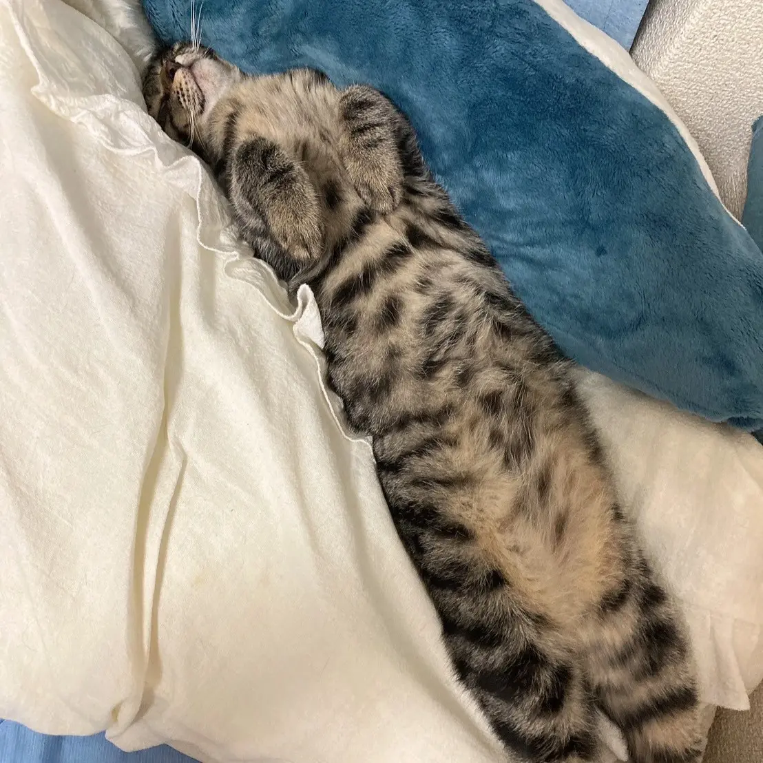 うるのブロマイド 6