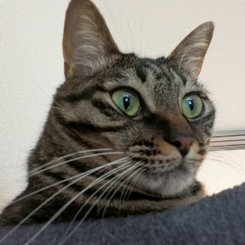 うるのブロマイド 9