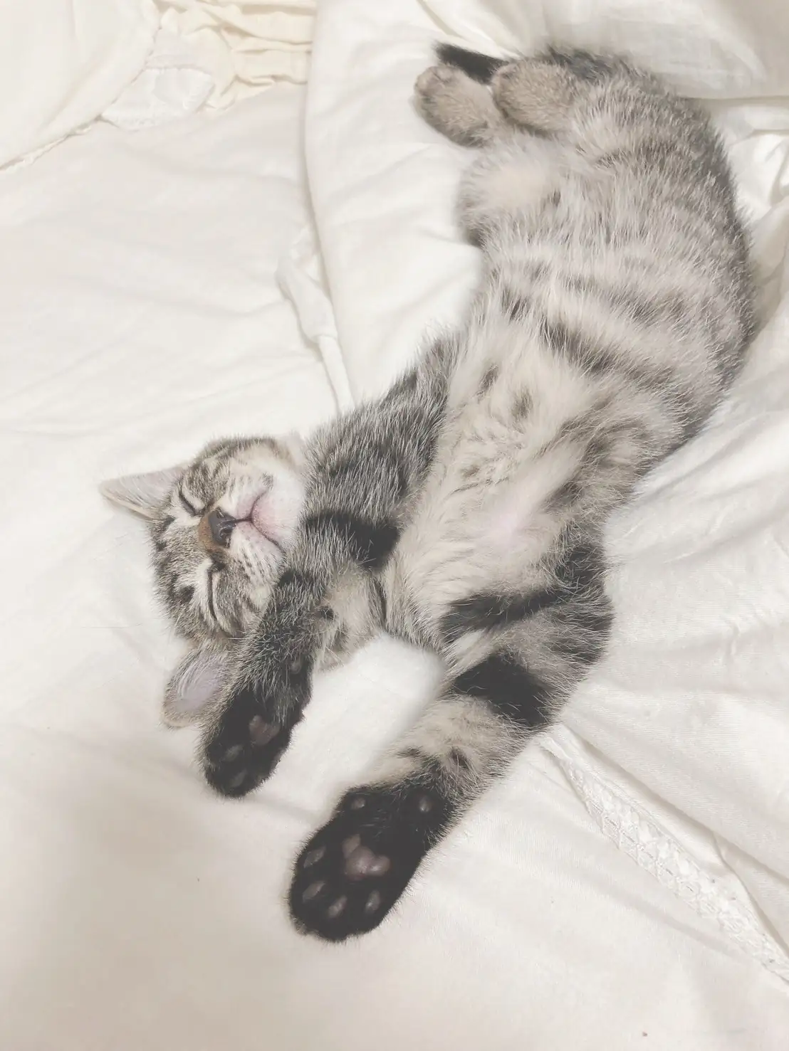 我が家のうる