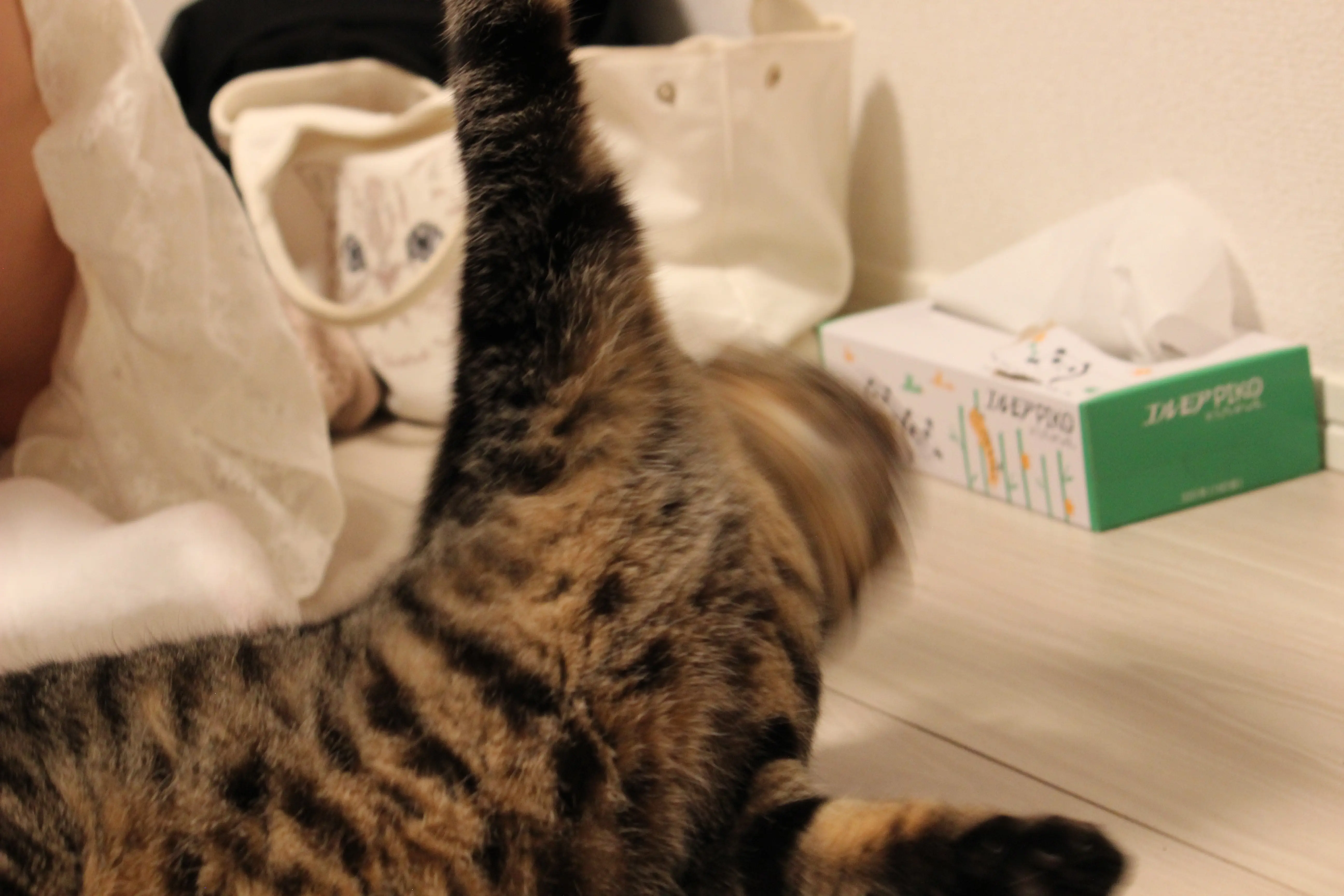 ピュリナ ワン キャットフード