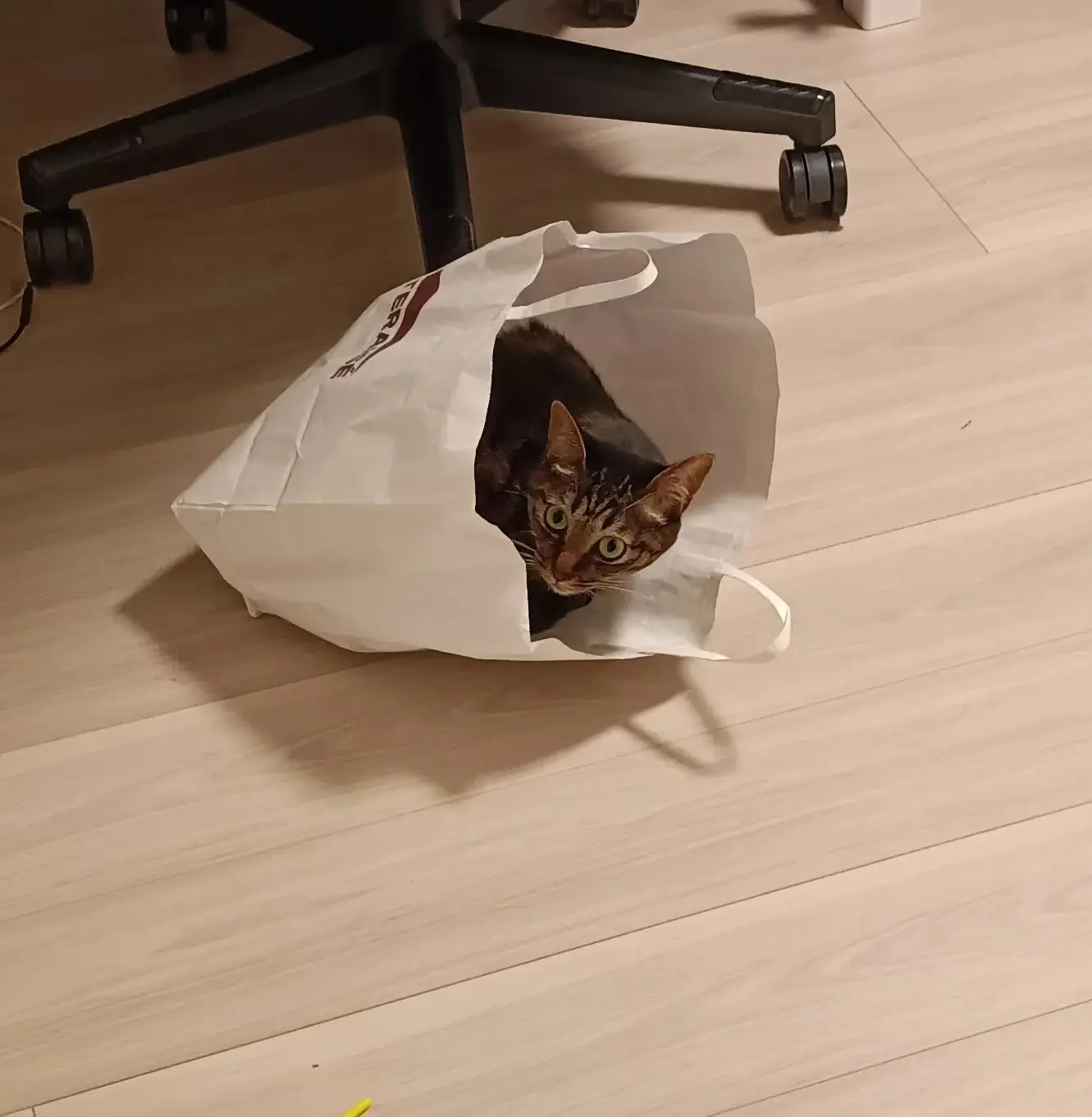 ピュリナ ワン キャットフード
